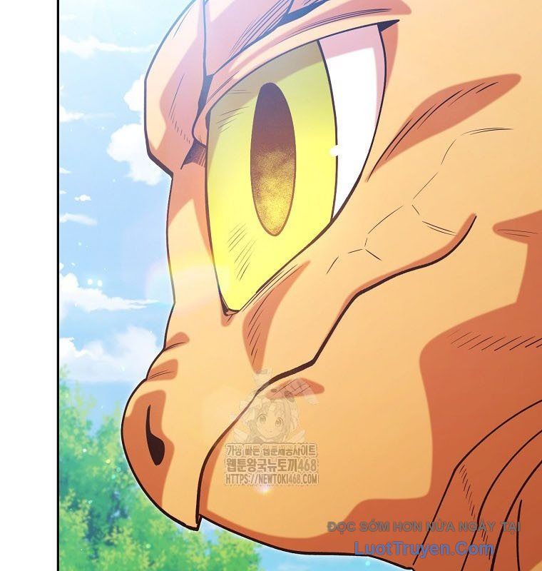 Tái Thiết Hầm Ngục Chapter 262 - Trang 2