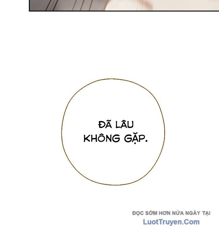 Tái Thiết Hầm Ngục Chapter 265 - Trang 2