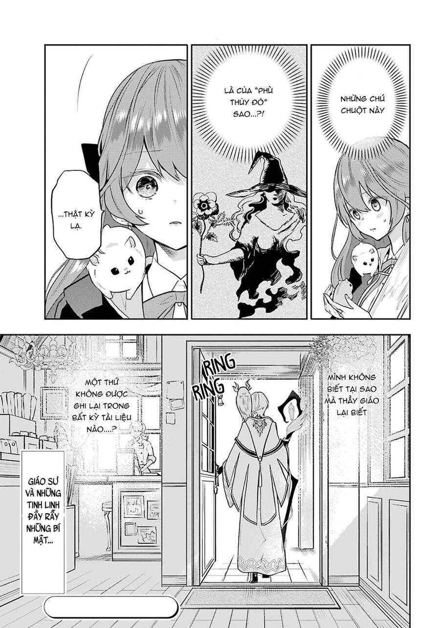 Tales Of Reincarnation In Maydare Chapter 8 - Trang 2