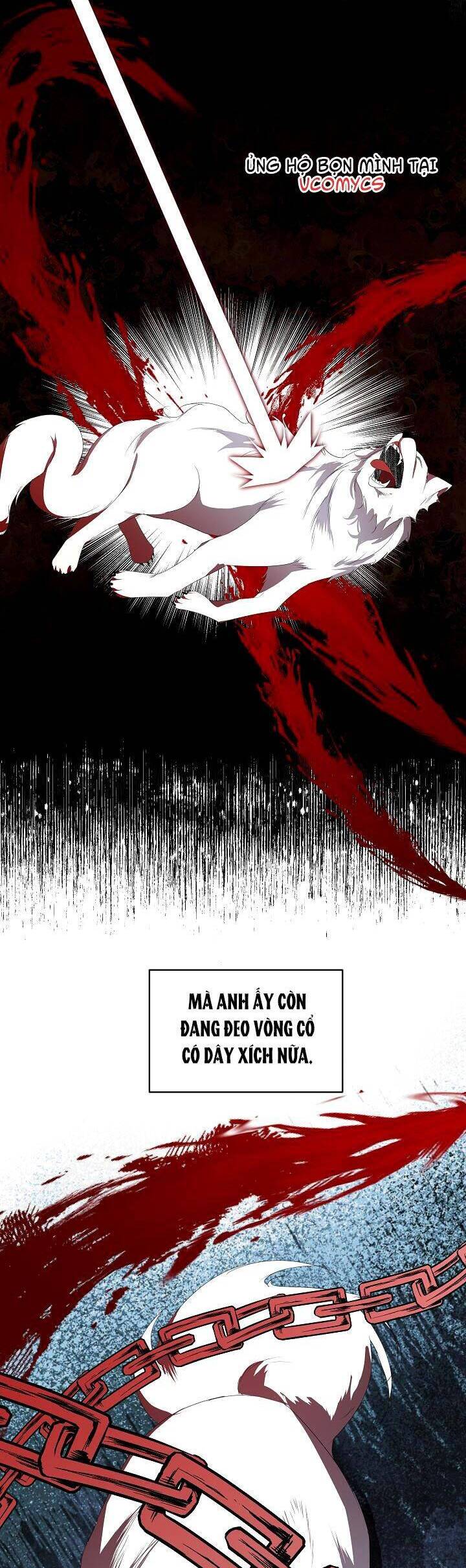 Tạm Thời Tôi Sẽ Bảo Vệ Nam Chính Chapter 7 - Trang 2