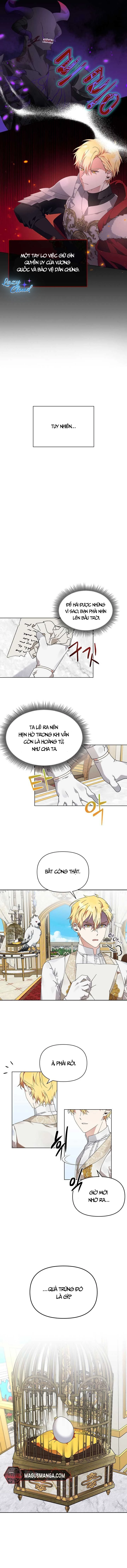 Tân Hoàng Hậu Chapter 1 - Trang 2