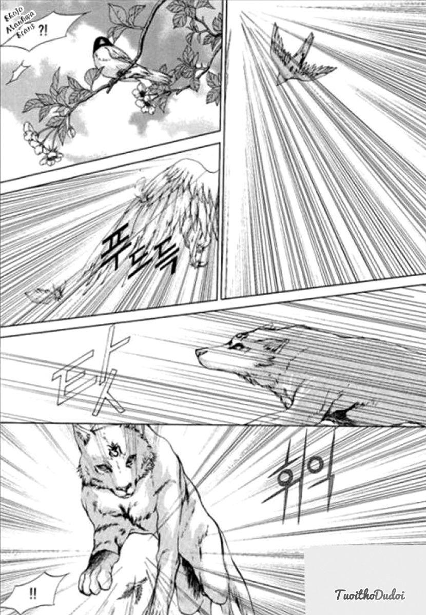 Tân Nương Của Thủy Thần Chapter 122 - Trang 2