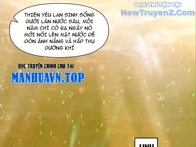 Tân Sủng Mị Chapter 74 - Trang 2