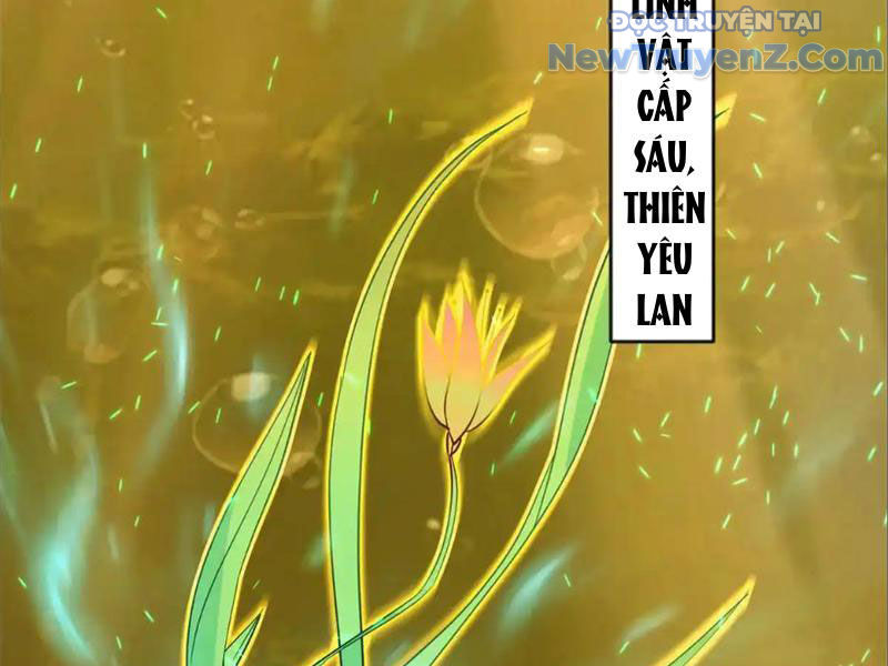 Tân Sủng Mị Chapter 74 - Trang 2