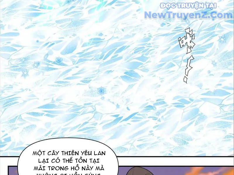 Tân Sủng Mị Chapter 74 - Trang 2