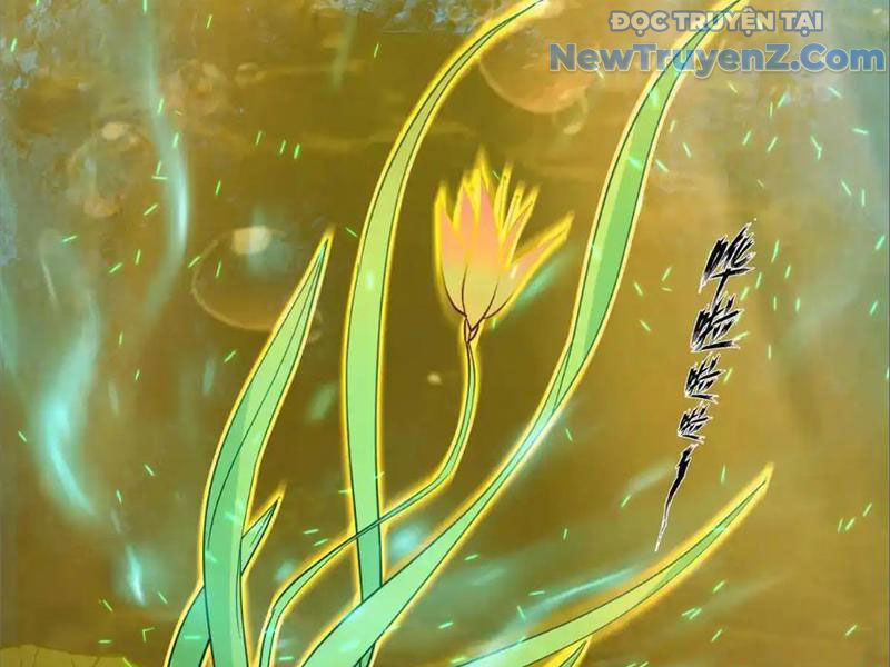 Tân Sủng Mị Chapter 74 - Trang 2