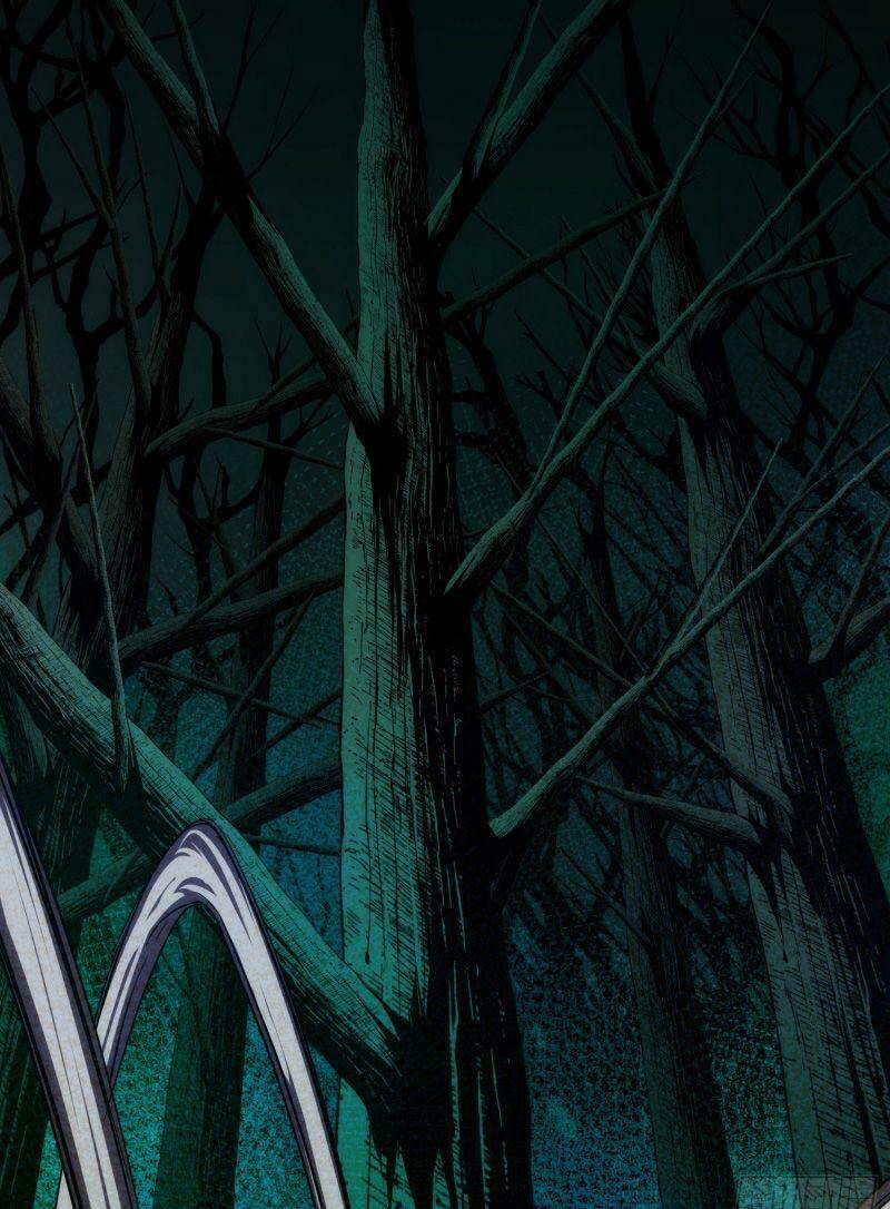 Tàng Phong Chapter 5 - Trang 2