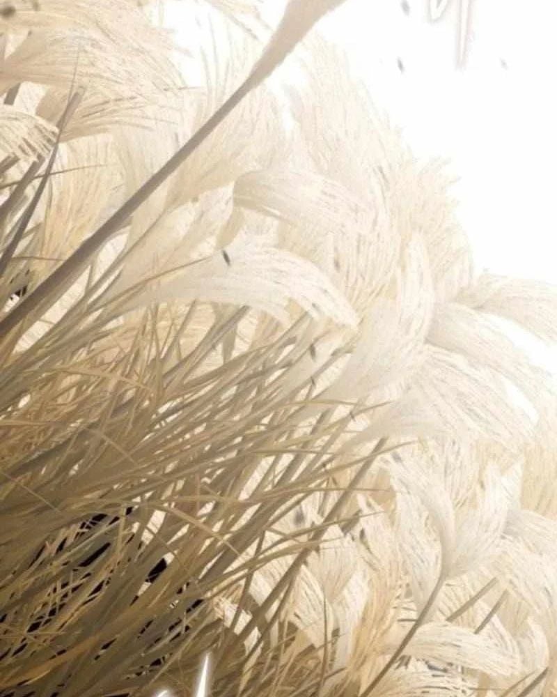 Tanker Hạng C Bất Tử Chapter 40 - Trang 2