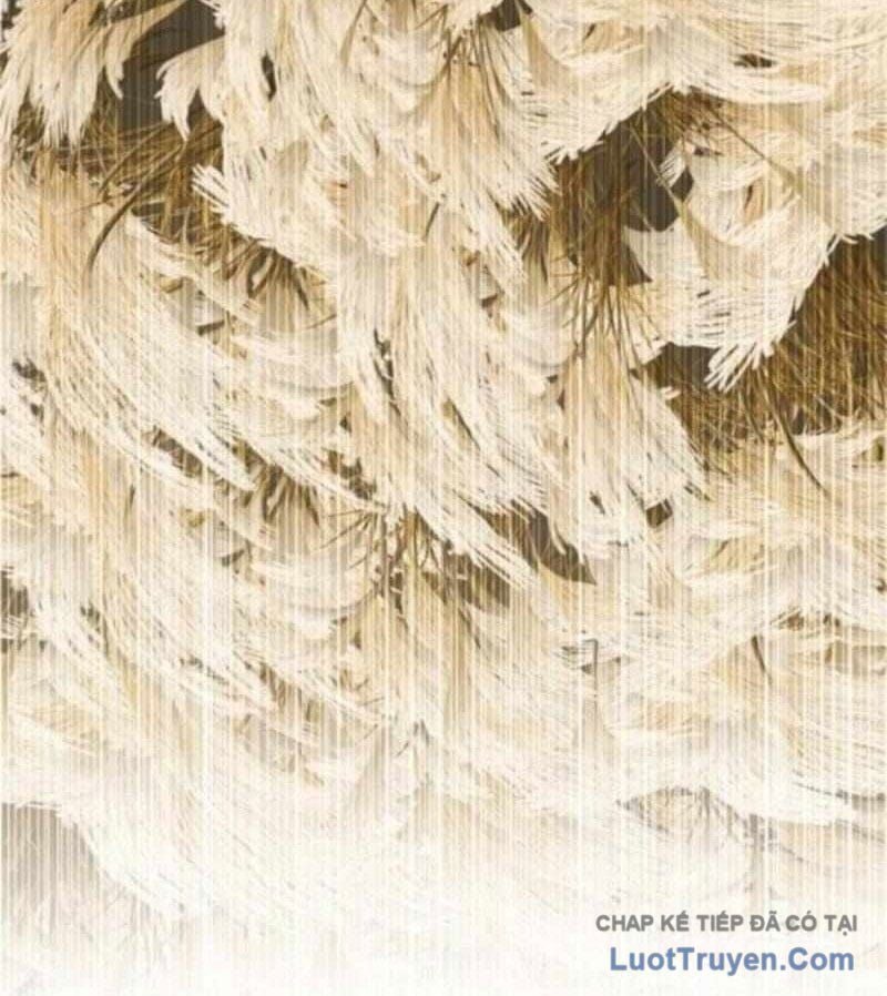 Tanker Hạng C Bất Tử Chapter 40 - Trang 2