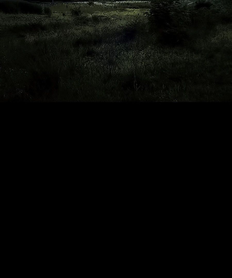 Tao Là Công Lý Chapter 16 - Trang 2