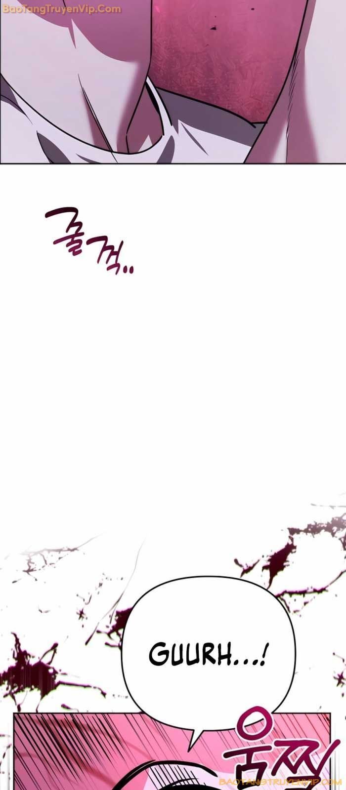 Tất Cả Bản Ngã Của Tôi Đều Là Hung Thần Chapter 17 - Trang 2