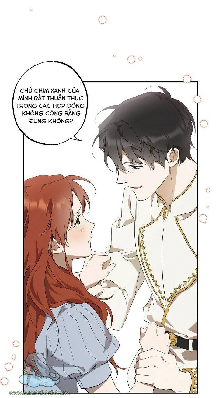 Tất Cả Chỉ Là Sai Lầm Chapter 51 - Trang 2