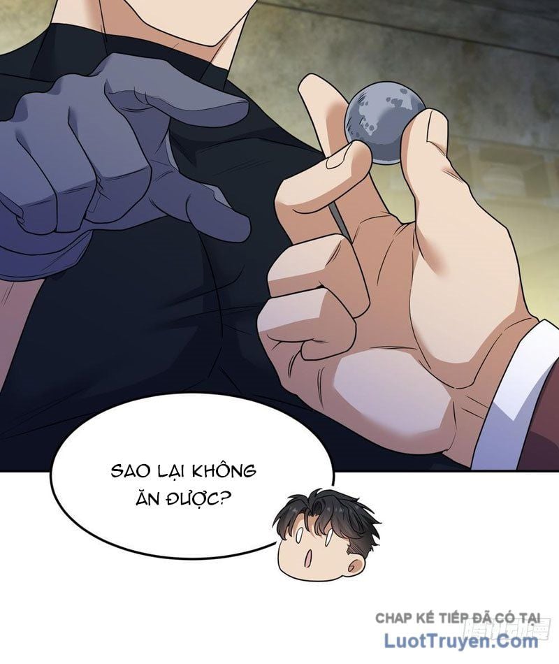 Tẩu Tử: Ta Thật Không Phải Kẻ Ngốc Chapter 11 - Trang 2