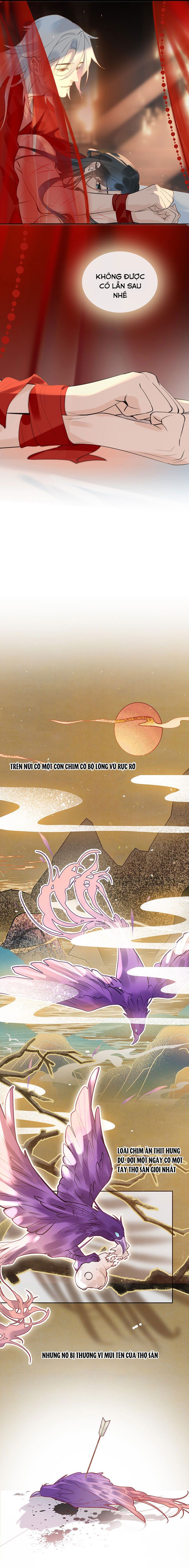 Tế Vũ Bất Tri Quy Chapter 8 - Trang 2