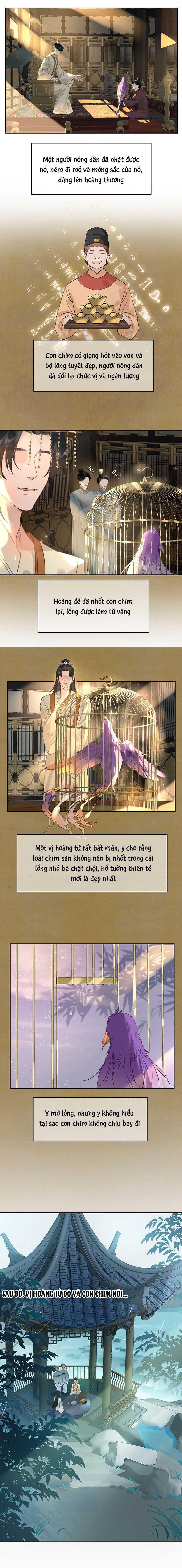 Tế Vũ Bất Tri Quy Chapter 8 - Trang 2