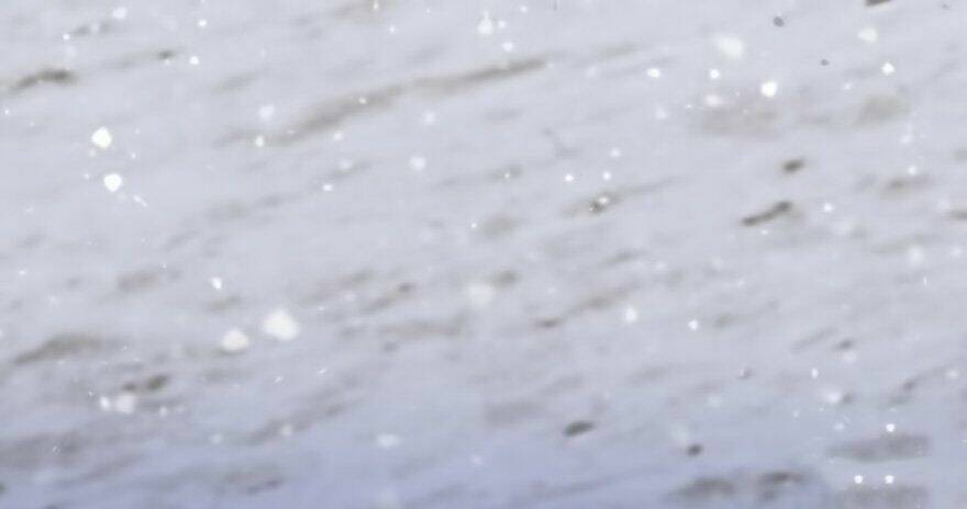 Thả Vu Nữ Đó Ra Chapter 37 - Trang 2