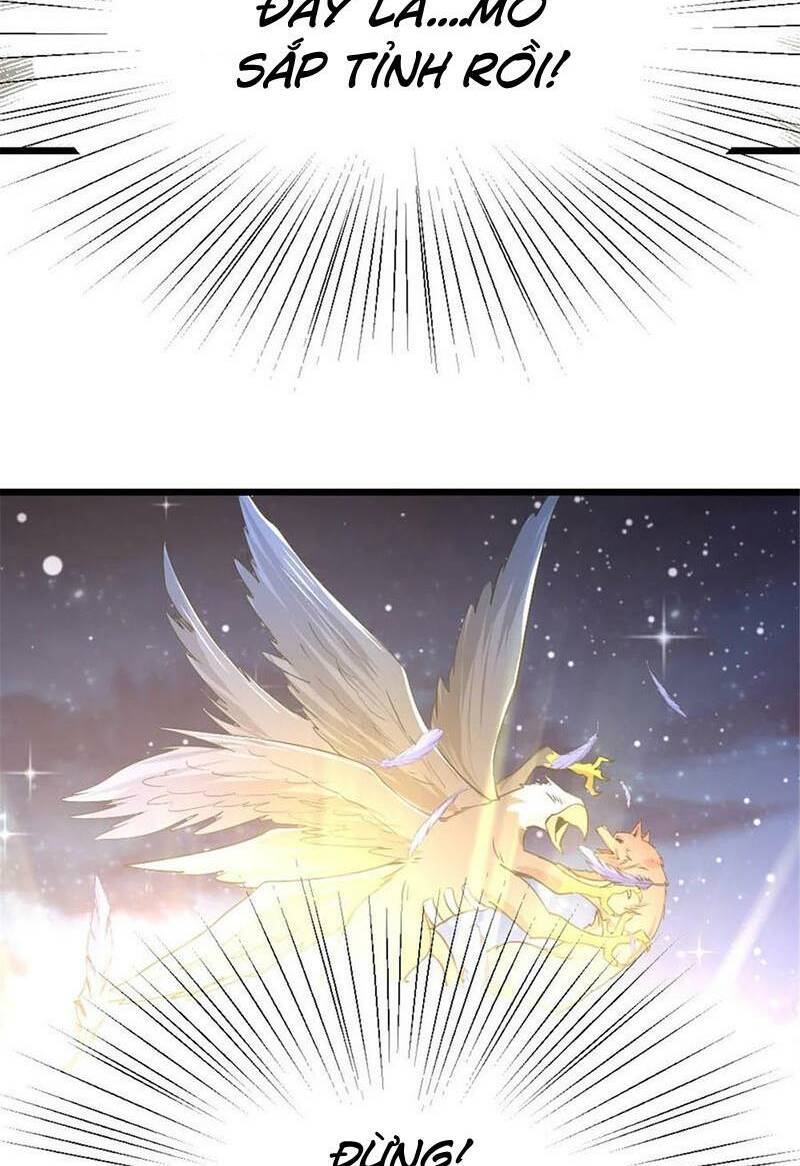 Thả Vu Nữ Đó Ra Chapter 450 - Trang 2