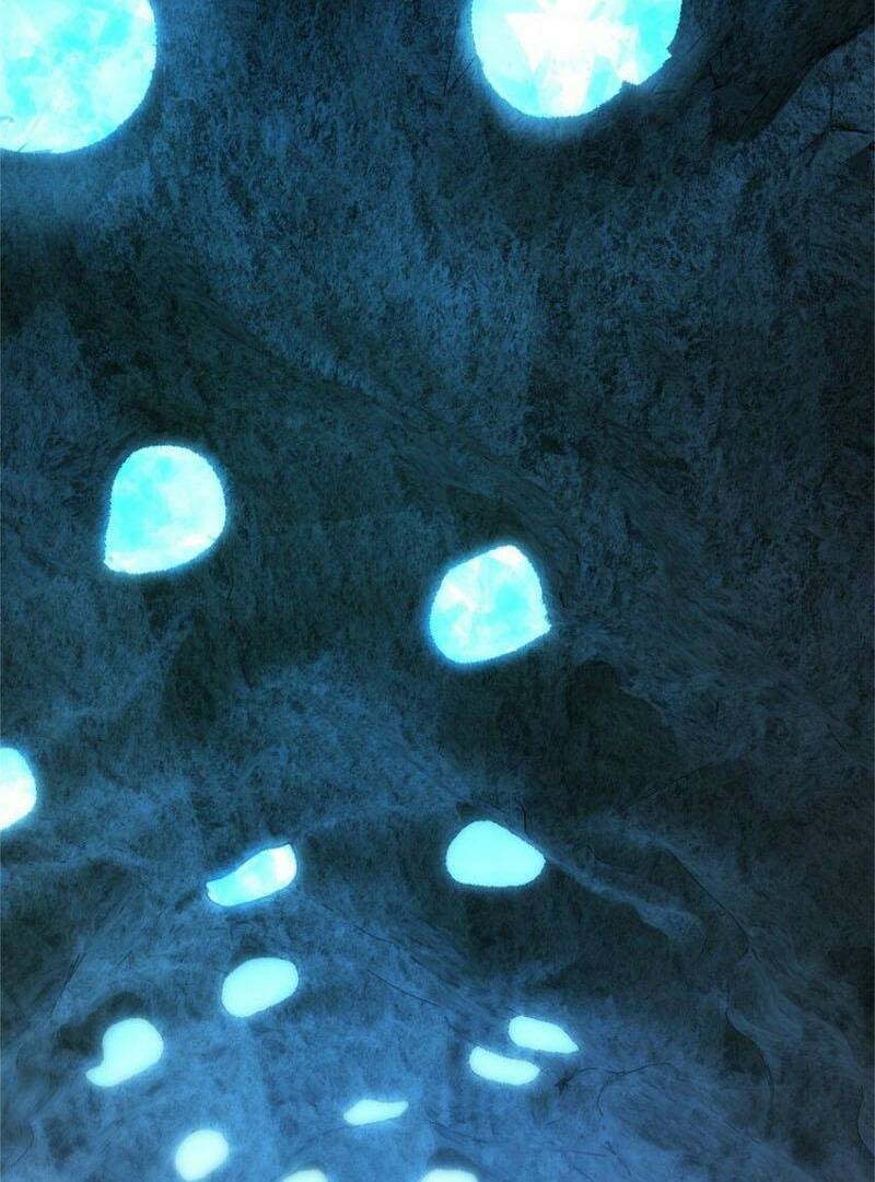 Thả Vu Nữ Đó Ra Chapter 484 - Trang 2