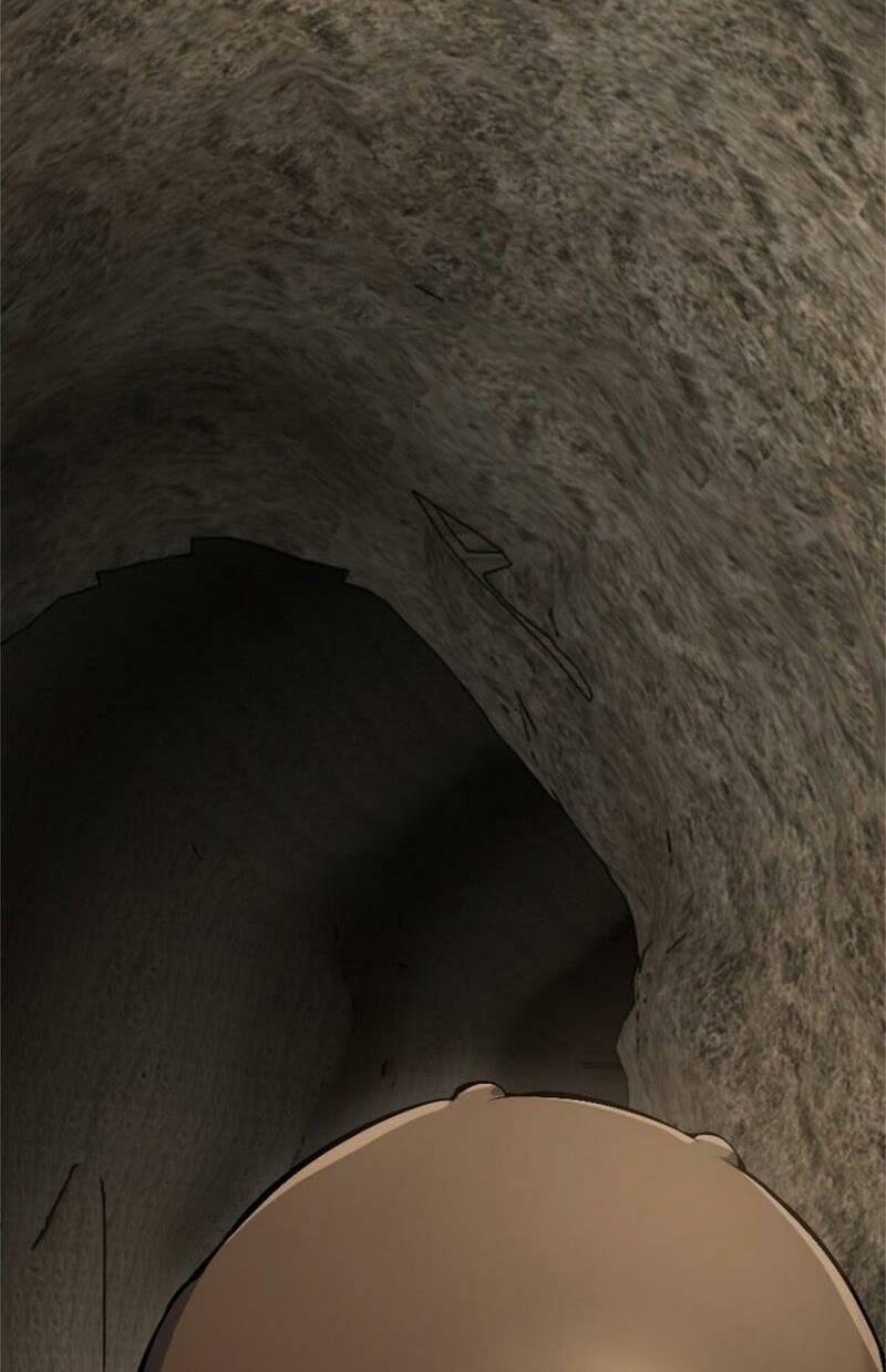 Thả Vu Nữ Đó Ra Chapter 494 - Trang 2