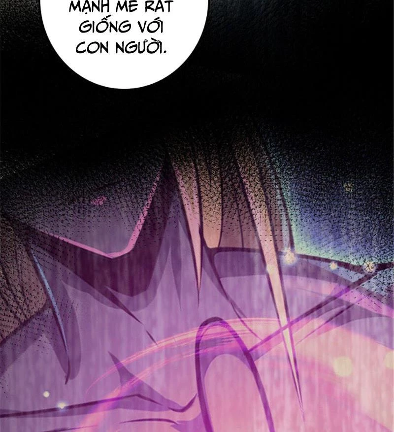 Thả Vu Nữ Đó Ra Chapter 608 - Trang 2