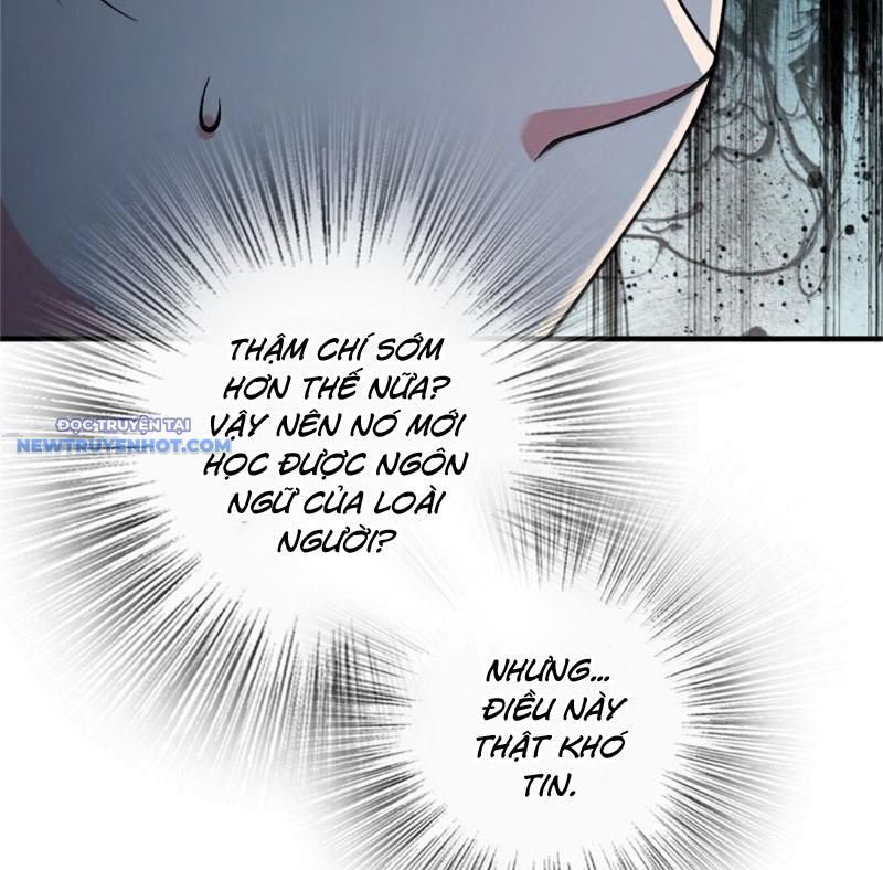 Thả Vu Nữ Đó Ra Chapter 647 - Trang 2
