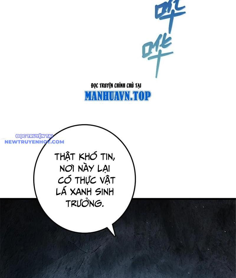 Thả Vu Nữ Đó Ra Chapter 657 - Trang 2