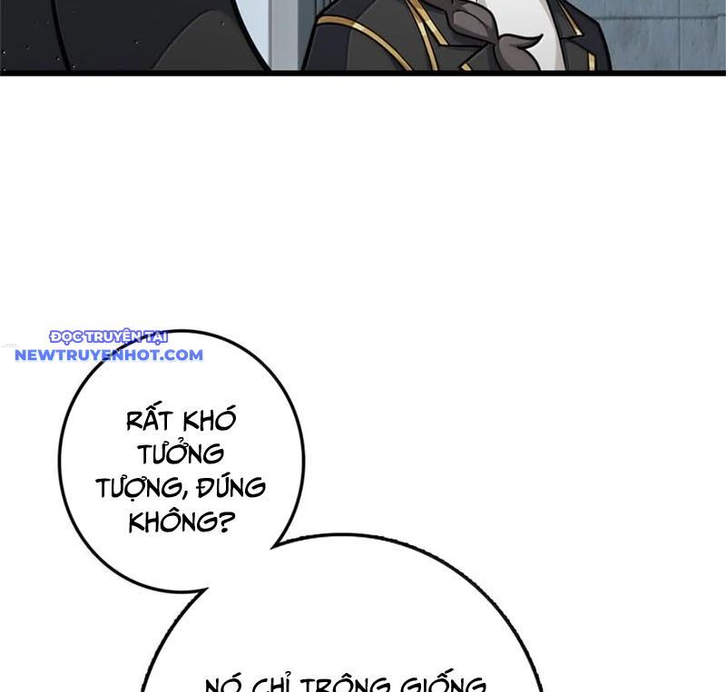 Thả Vu Nữ Đó Ra Chapter 661 - Trang 2