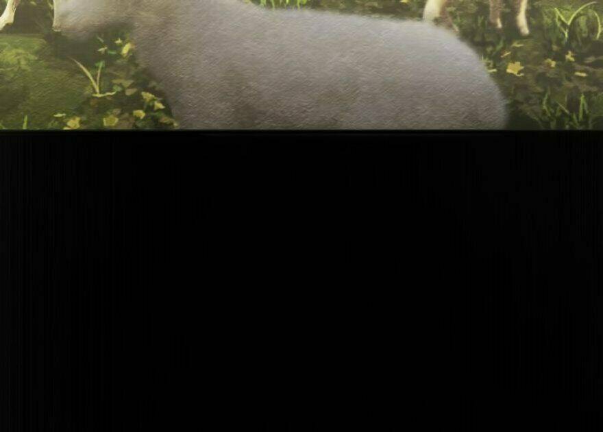 Thả Vu Nữ Đó Ra Chapter 9 - Trang 2