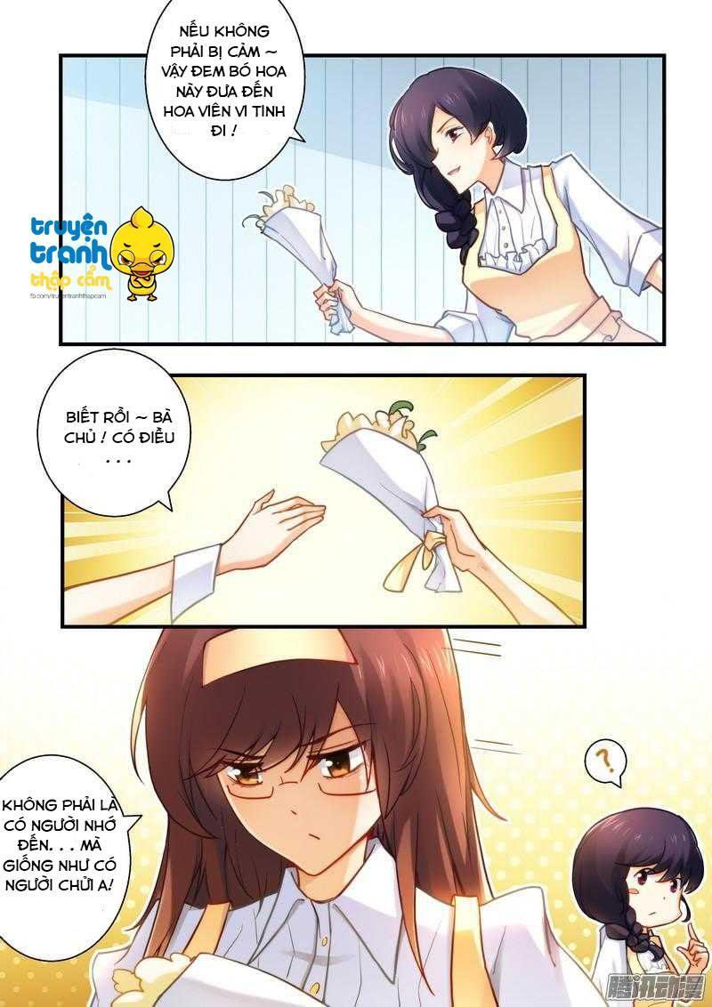 Thác Nhạ Hào Môn Tổng Tài Chapter 22 - Trang 2