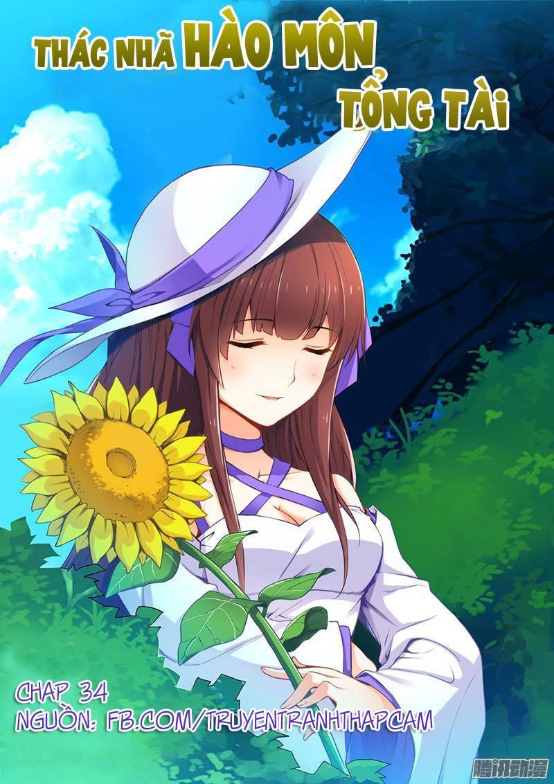 Thác Nhạ Hào Môn Tổng Tài Chapter 34 - Trang 2