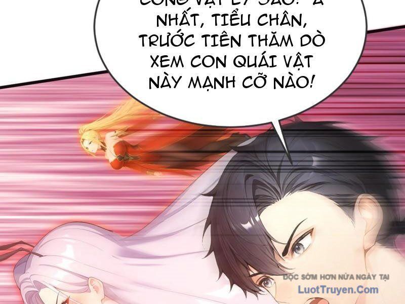 Thái Cổ Thập Hung: Người Khác Ngự Thú Ta Ngự Thú Nương Chapter 66 - Trang 2