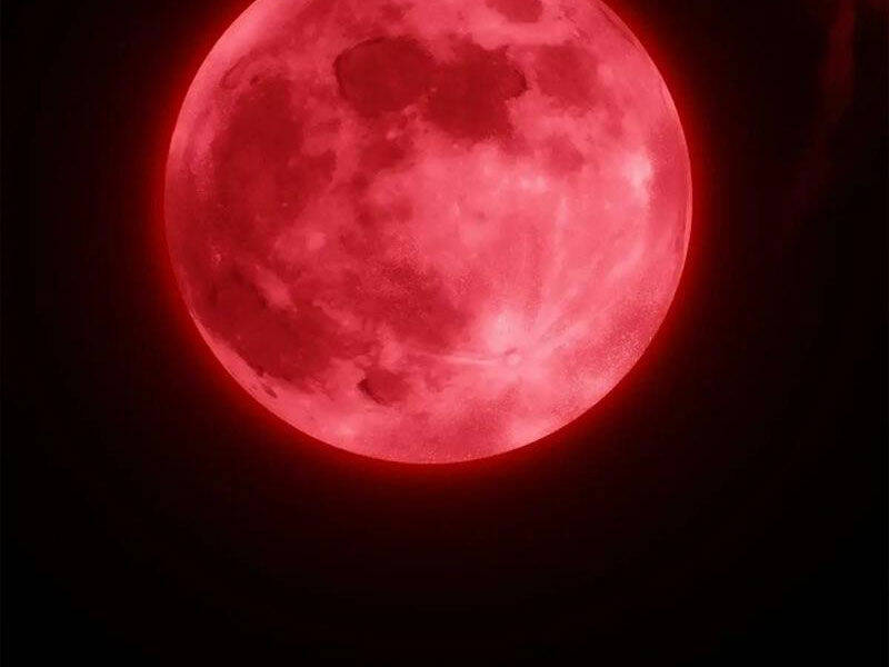 Thái Cổ Yêu Thánh Lấy Ta Làm Lô Đỉnh Chapter 38 - Trang 2