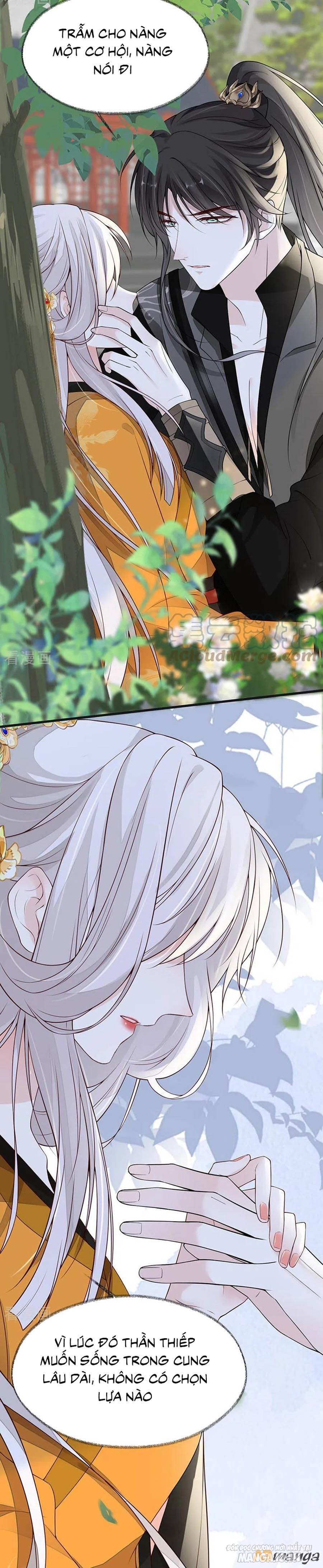 Thái Hậu Quân Hạ Thần Chapter 103 - Trang 2