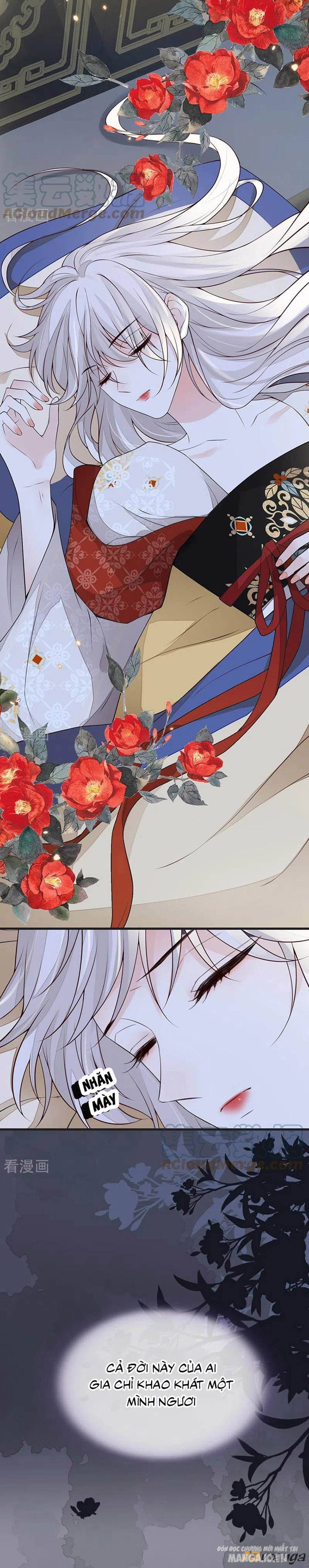 Thái Hậu Quân Hạ Thần Chapter 110 - Trang 2