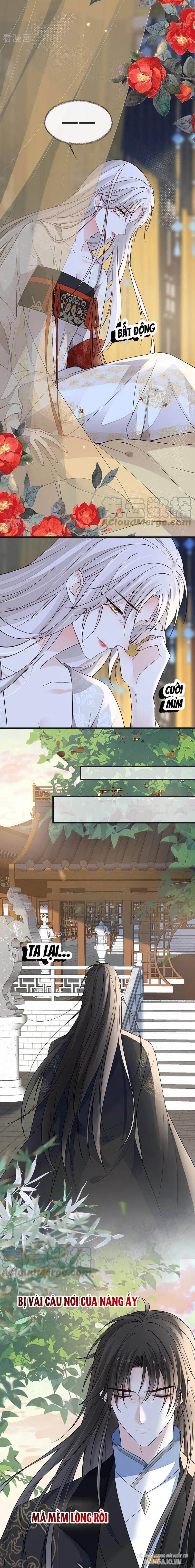 Thái Hậu Quân Hạ Thần Chapter 115 - Trang 2