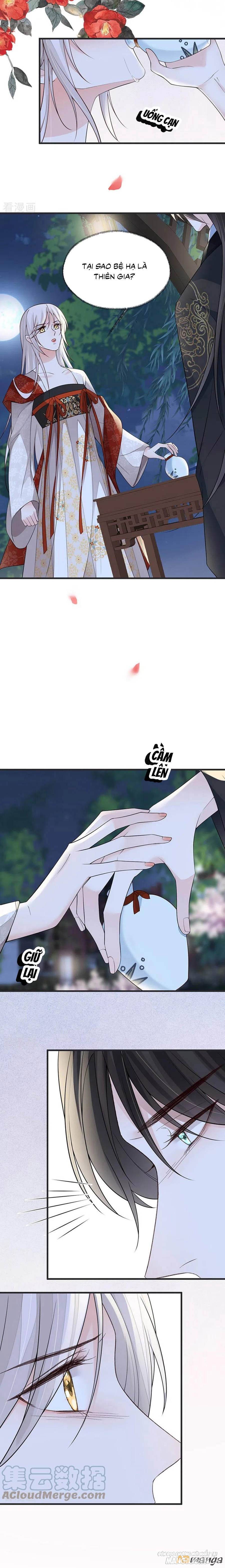 Thái Hậu Quân Hạ Thần Chapter 117 - Trang 2