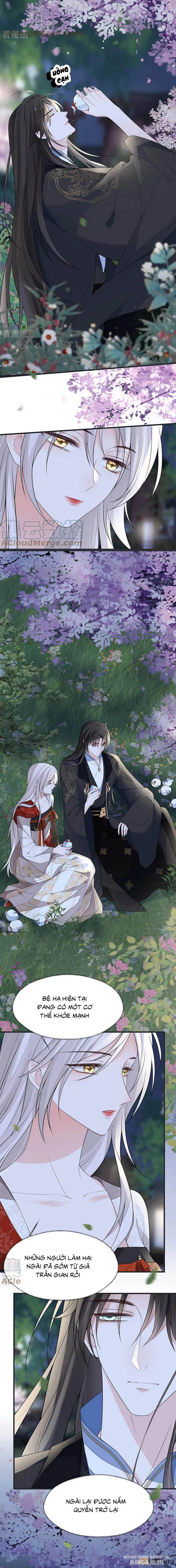 Thái Hậu Quân Hạ Thần Chapter 120 - Trang 2