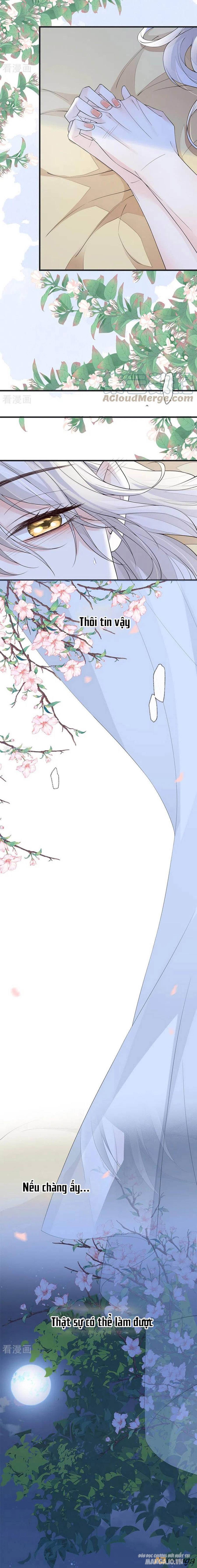 Thái Hậu Quân Hạ Thần Chapter 123 - Trang 2