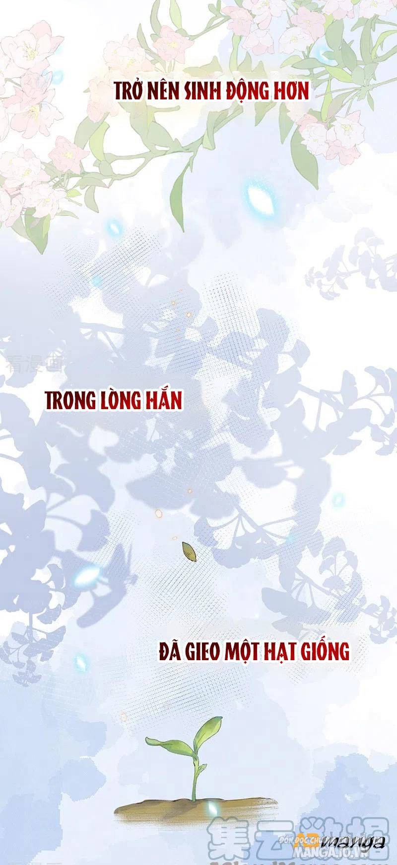 Thái Hậu Quân Hạ Thần Chapter 132 - Trang 2