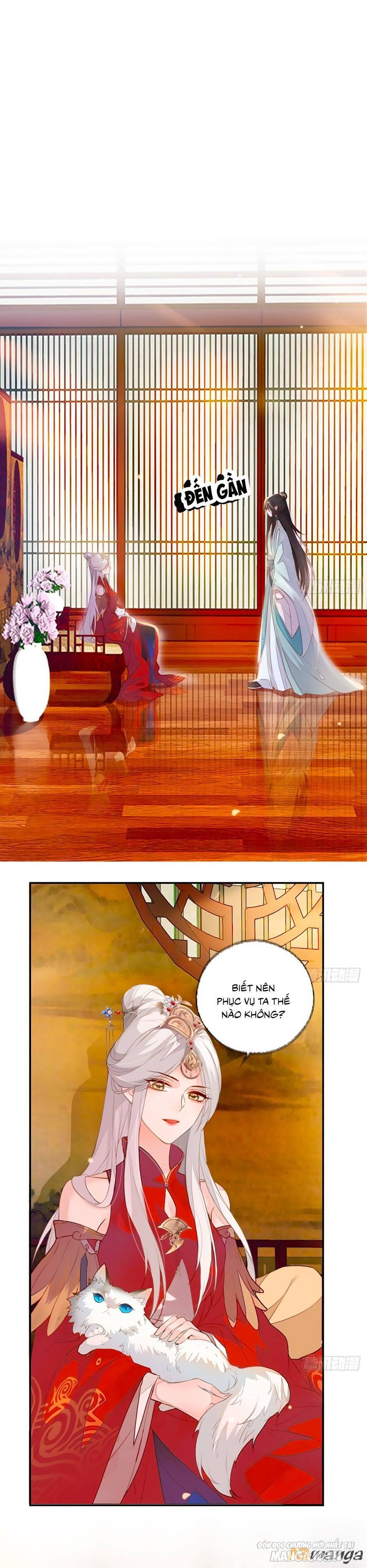 Thái Hậu Quân Hạ Thần Chapter 2 - Trang 2