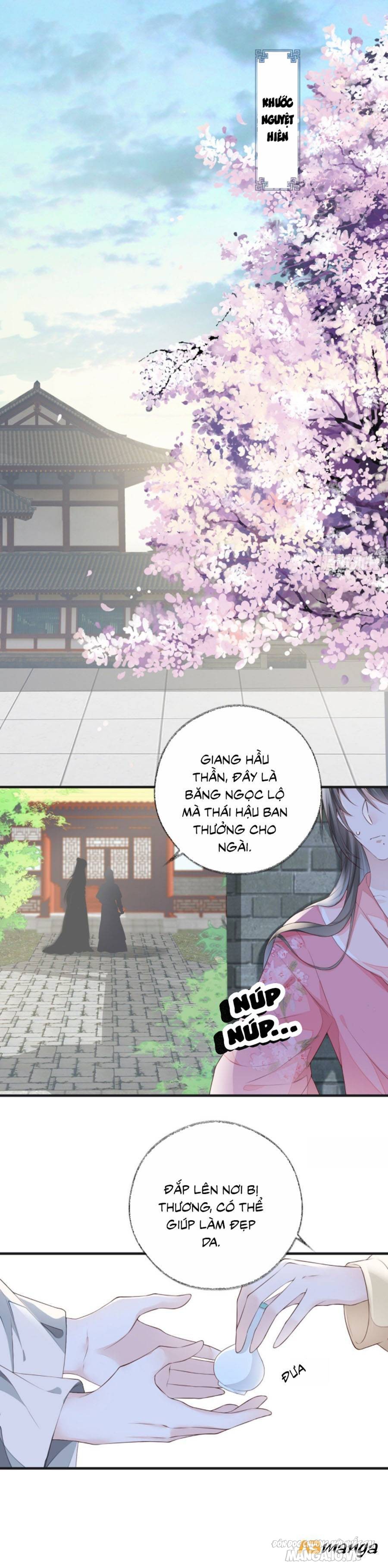 Thái Hậu Quân Hạ Thần Chapter 26 - Trang 2