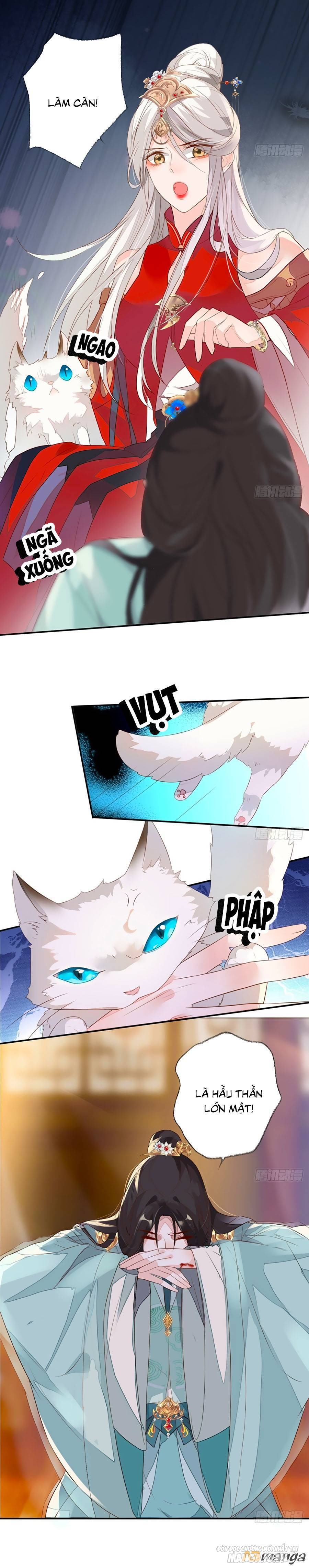 Thái Hậu Quân Hạ Thần Chapter 3 - Trang 2