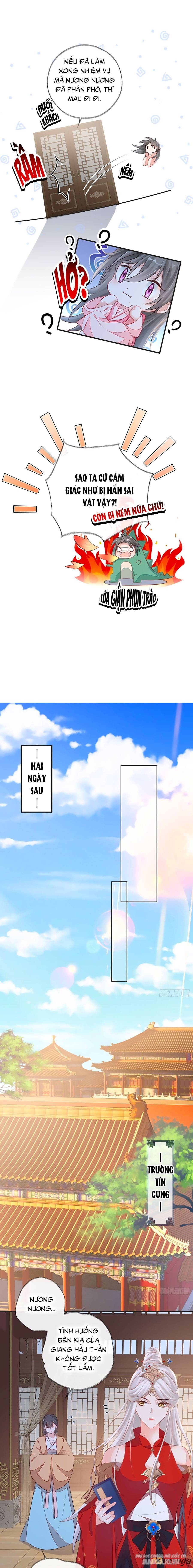 Thái Hậu Quân Hạ Thần Chapter 37 - Trang 2