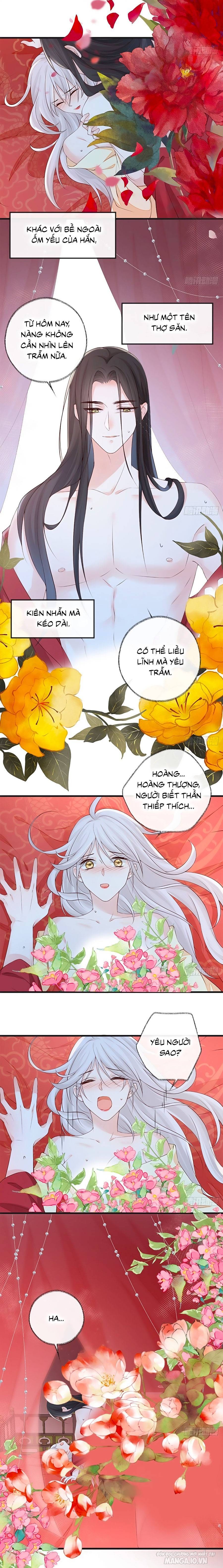 Thái Hậu Quân Hạ Thần Chapter 40 - Trang 2