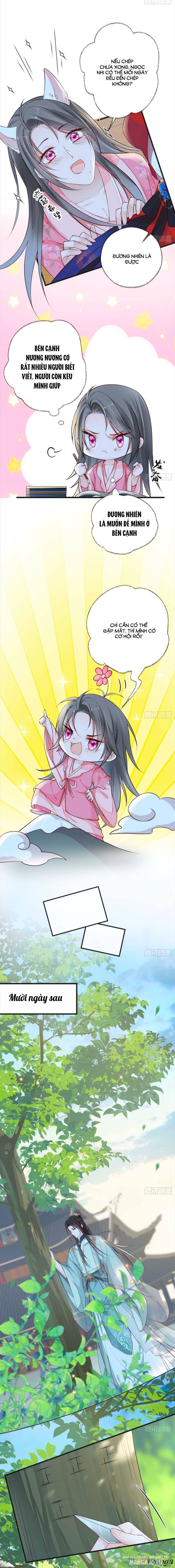 Thái Hậu Quân Hạ Thần Chapter 44 - Trang 2