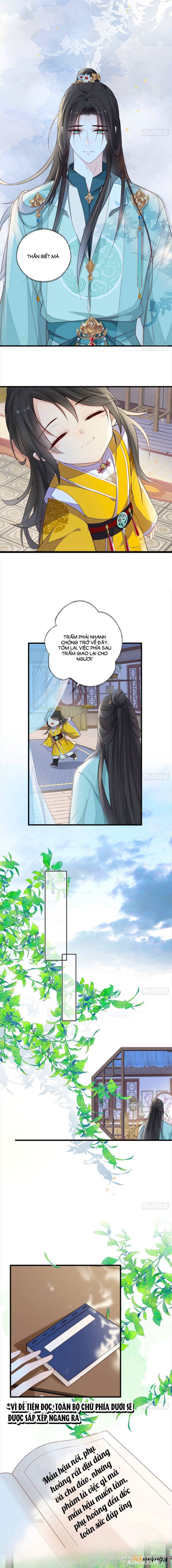 Thái Hậu Quân Hạ Thần Chapter 49 - Trang 2