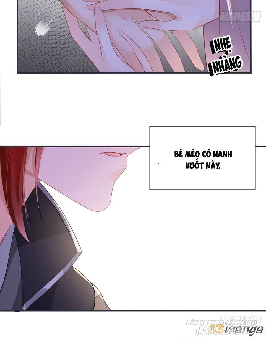 Thái Hậu Quân Hạ Thần Chapter 5 - Trang 2