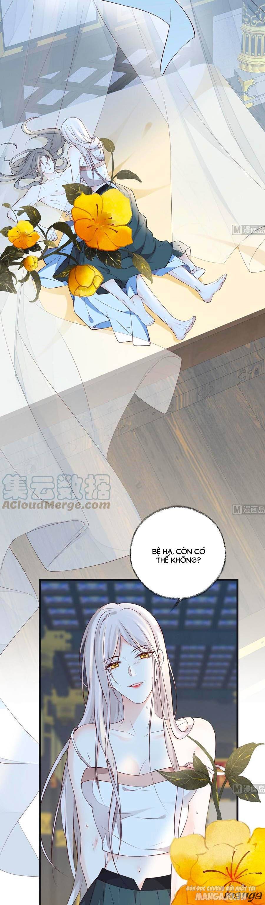 Thái Hậu Quân Hạ Thần Chapter 55 - Trang 2