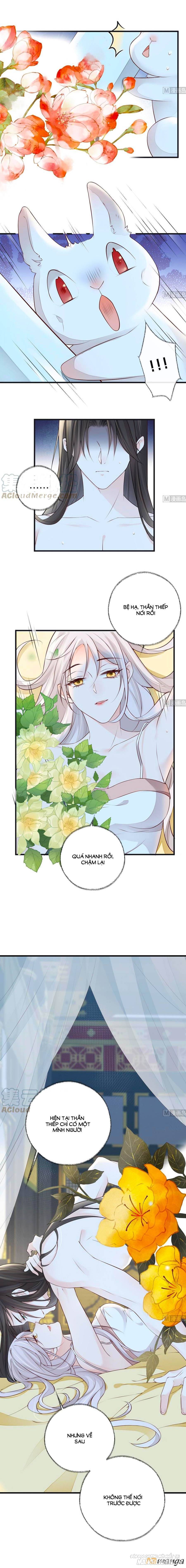 Thái Hậu Quân Hạ Thần Chapter 55 - Trang 2