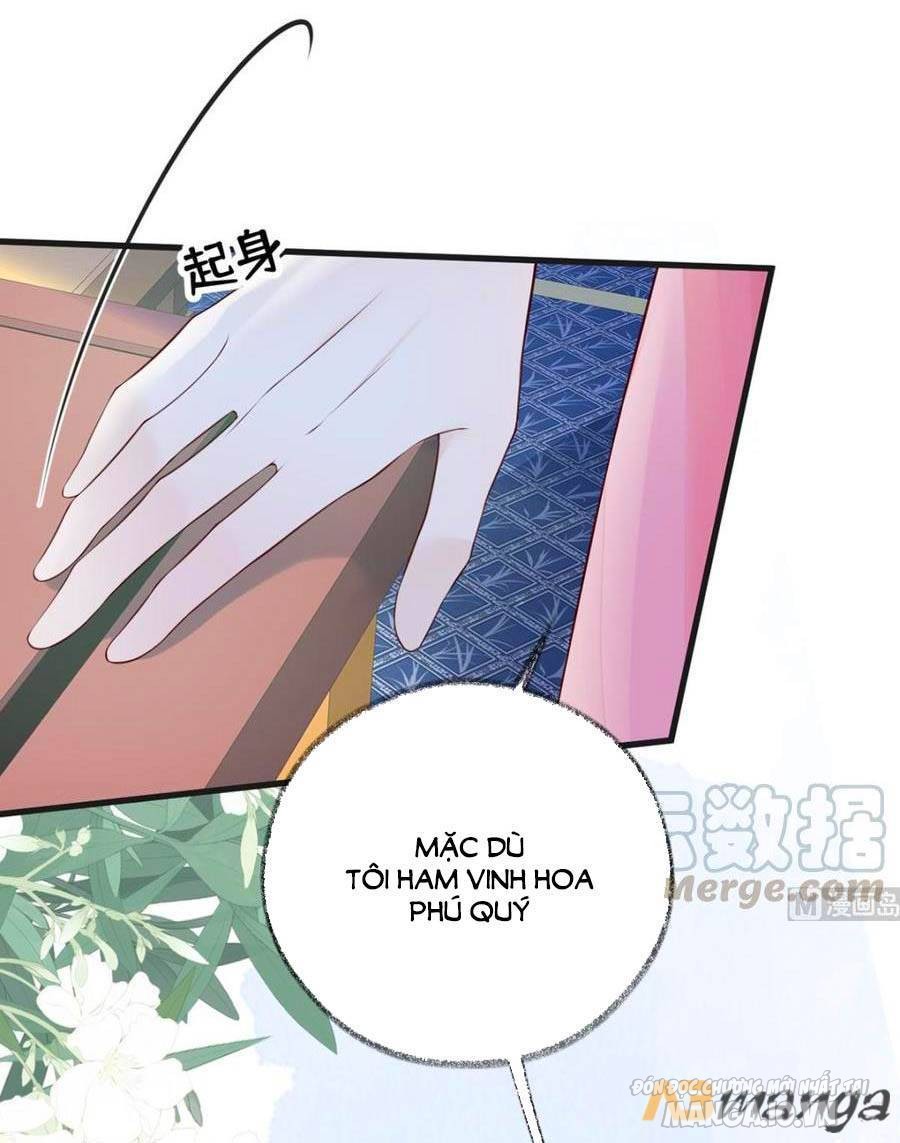 Thái Hậu Quân Hạ Thần Chapter 63 - Trang 2